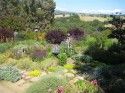 Strader Garden