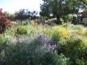 Strader Garden