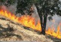Copperopolis Fire 2011