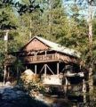 Tuolumne Family Camp