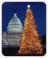 U.S Capitol Christmas Tree