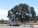 Traffic Lights On Greenley Road