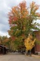 Main Street Columbia Fall Colors