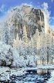 Entry in Central Sierra Arts Council Capitol Christmas Tree Juried Art Exhibition, El Capitan