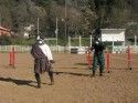 Sonora Celtic Faire