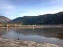 Pinecrest Lake