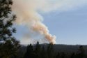 Groveland Vegetation Fire