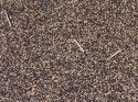 Matches found on the playground