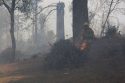 Yankee Hill Prescribed Burn