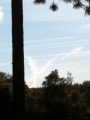 Photo Taken Near Pioneer-Aftermath of Sonic Boom