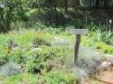 Demo Garden Rock Garden 2012