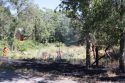 Columbia Grass Fire
