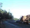 Log Truck Waiting On Parrotts Ferry