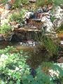 Francie's Fountain
