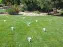 Checking Sprinkler Coverage