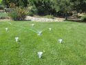 Improve Your Watering System With Drip Zones