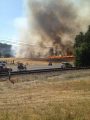 Jamestown Grass Fire