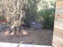 Brush that burned near Murphys house