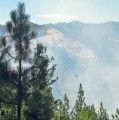 Groveland Fire