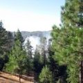 Groveland Fire