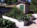 Community Garden
