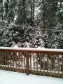 Snow in Tuolumne