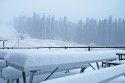 Snow At Dodge Ridge