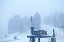 Morning Snow At Dodge Ridge