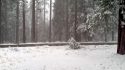 Snowfall in Tuolumne County at 4,100 ft.