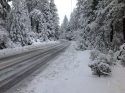 Snow On Middle Camp Road In Twain Harte