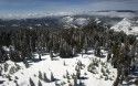 Sierra Nevada