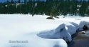 Sierra Nevada Snowpack