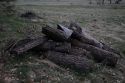 Stacked Wood Only in Zone 2