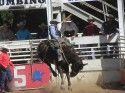 Mother Lode Round-up Rodeo