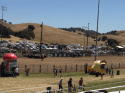 Calaveras County Fair & Jumping Frog Jubilee 2013
