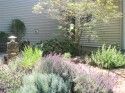 Dahlstrand Property