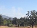 East Blue Bell Road Fire
