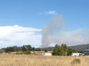 Parrotts Ferry Road Fire north of Natural Bridges