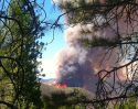 Rim Fire In Stanislaus National Forest
