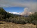 Rim Fire in Stanislaus National Forest2