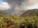 The Rim Fire along the south side of the Tuolumne River