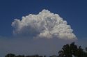 Rim Fire As Viewed From Lake Don Pedro