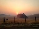 Smoke Near Highway 108 Yosemite Junction