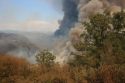 Rim Fire3