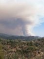 Rim Fire4