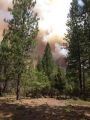 Rim fire jump