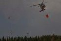 Ferretti Road Fire Break at the base of Pine Mountain Lake