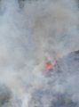 Northern Boundry very top of PML land Rim Fire11 8-25-13