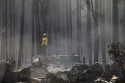 Destroyed Campground near Yosemite Rim Fire 08-26-13