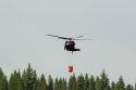 Rim Fire Black Hawk Helicopter-2